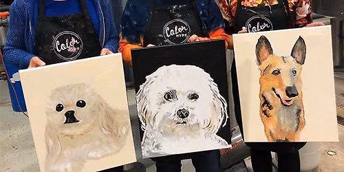 Paint Your Pet with ColorHype on the Reunion Tower GeO-Deck