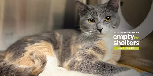 BISSELL Empty the Shelters