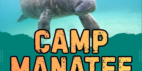 Camp Manatee Mini Camp 