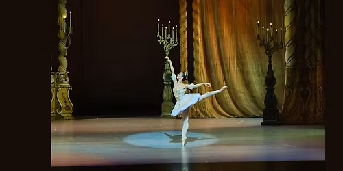 Festival Ballet Theatre - The Nutcracker