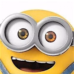 Minions Theme Build A Beastie & Ice Cream @Mackie's19.2