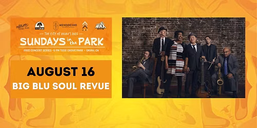 Sundays in the Park - Big Blu Soul Revue