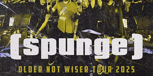 SPUNGE | THE UNDERGROUND 