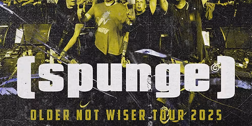 SPUNGE | THE UNDERGROUND 