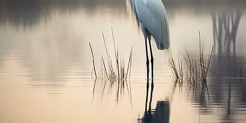 Kaleidoszk\u00f3p Szoba - nyitott irodalomter\u00e1pi\u00e1s est\u00e9k feln\u0151tteknek