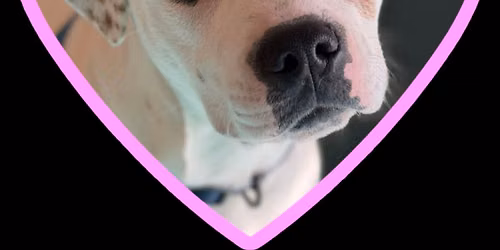 NEAST Adoption Day