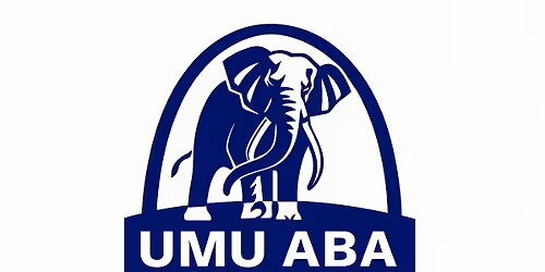 Umuaba worldwide charity walk 2026