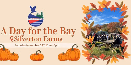A Day for the Bay!