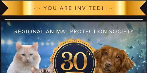 RAPS 30th Anniversary Gala