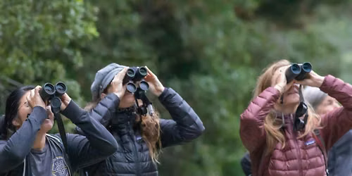 Berkeley Bird Festival