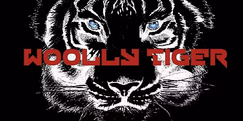 Woolly Tiger Live @ Borgetti\u2019s