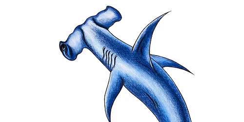 Hammerhead Shark Colouring Workshop for Children Aged 5-10