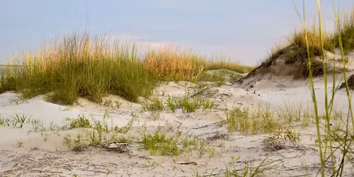 Micro in May Photo Session