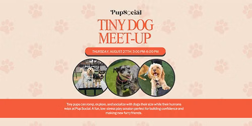 Tiny Dog Meet-up