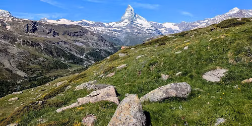 Conf\u00e9rence : comment les plantes s'adaptent \u00e0 la vie alpine ?