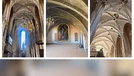 Sct. Mariæ Kirke & Karmeliterklostret