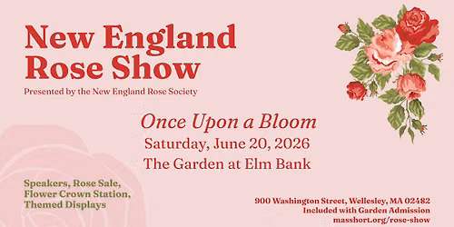 New England Rose Show: Once Upon a Bloom