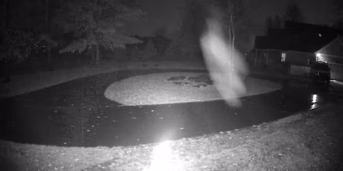  Ghosts, Spirits or Entities?  
