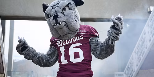 Alabama A&M Bulldogs vs. Howard Bison