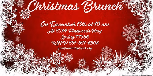 AIM Past and Present Birthmoms