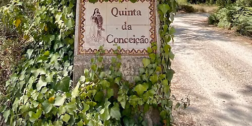 🌿 Portuguese Language, Culture & Wellness Retreats 🌿 