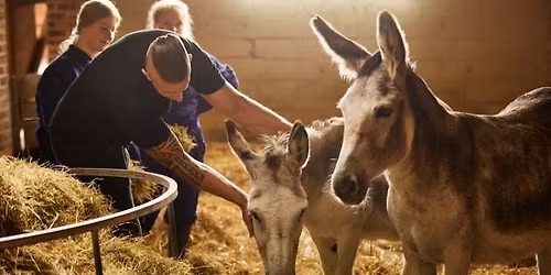 Animal Care & Land Management Open Event