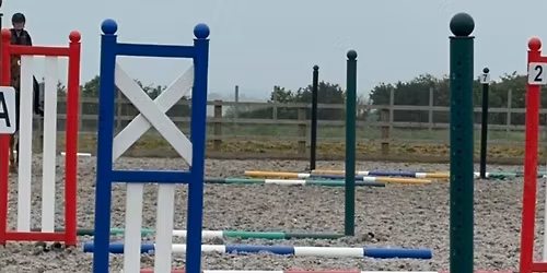 Gridwork and poles with Jane Hussell
