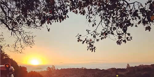 Sonoma Wine Country Yoga & Wellness Retreat