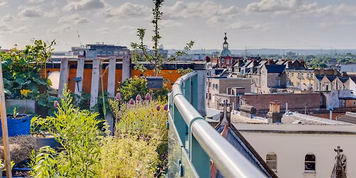 The Rooftop Farm Tours