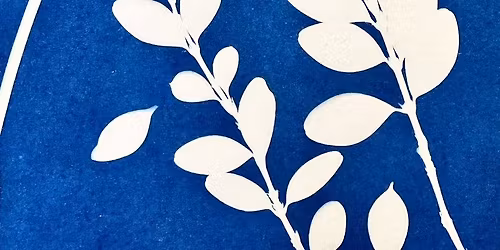 Creative Class - Sunprinting with Botanicals