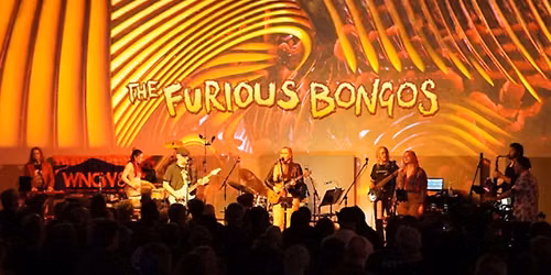 The Furious Bongos