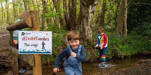Wildfamilies Butterflies & Bugs Drop In at Biddulph Grange Country Park