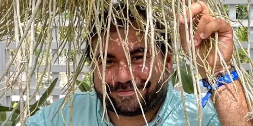 Boca Raton Orchid Society Monthly Meeting, featuring Luis M. Ortiz-Jordan