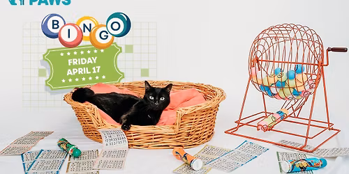 PAWS All-Cash Spring Bingo