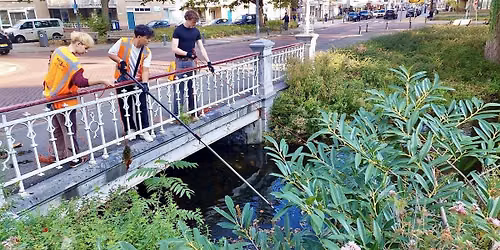 Singel-cleanup tijdens opruimevent Crooswijk
