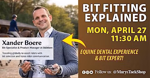 Equine Bit Fitting Explained