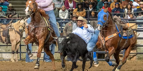 National Western Stock Show Pro Rodeo - MLK Jr African-American Heritage Rodeo at Denver Coliseum