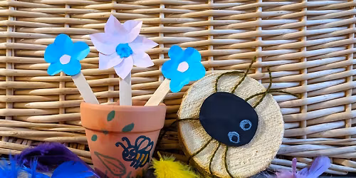 Birds and bugs (SEND session)