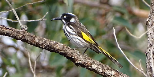 Ascot Waters - morning excursion