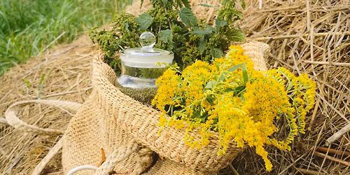 Utterslev mose: Urtevandringer og sanketure