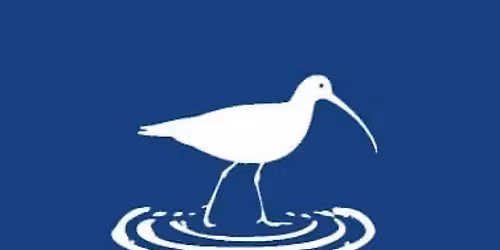 Margate Cemetry National Tree Week Guided Walk