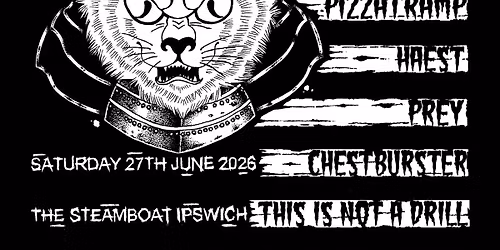 15 YEARS OF THE DOMESTICS