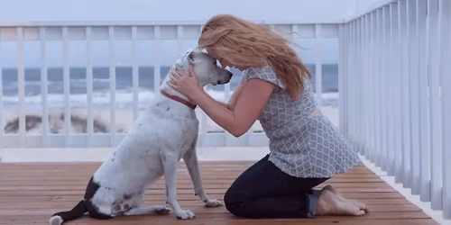 Pet Companion Workshop: Deepening Your Connection with Your Animal