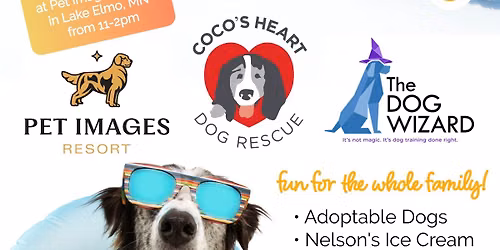 3rd Annual Summer Pawty at The Resort!