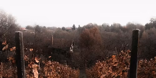 Fireside Saturdays | Live Music