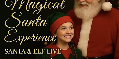Magical Santa Party Festival With Live Performances and Games