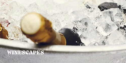 Summer Unfiltered: The Winescapes Tasting @ Green MamBar