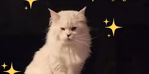 Daisy Dukes Holiday Giveaway!!!