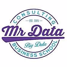 [MR-DATA.NL]:Business Intelligence Strategy + Official Certificate (14-days