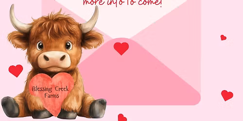 Cow Hug Day with Blessing Creek Farms\ud83d\udc2e\u2764\ufe0f